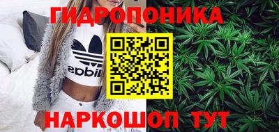 дурь Будённовск