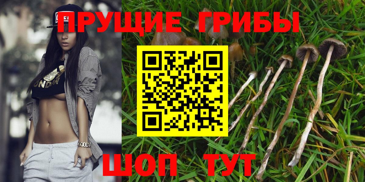 Псилоцибиновые грибы ЛСД Шадринск