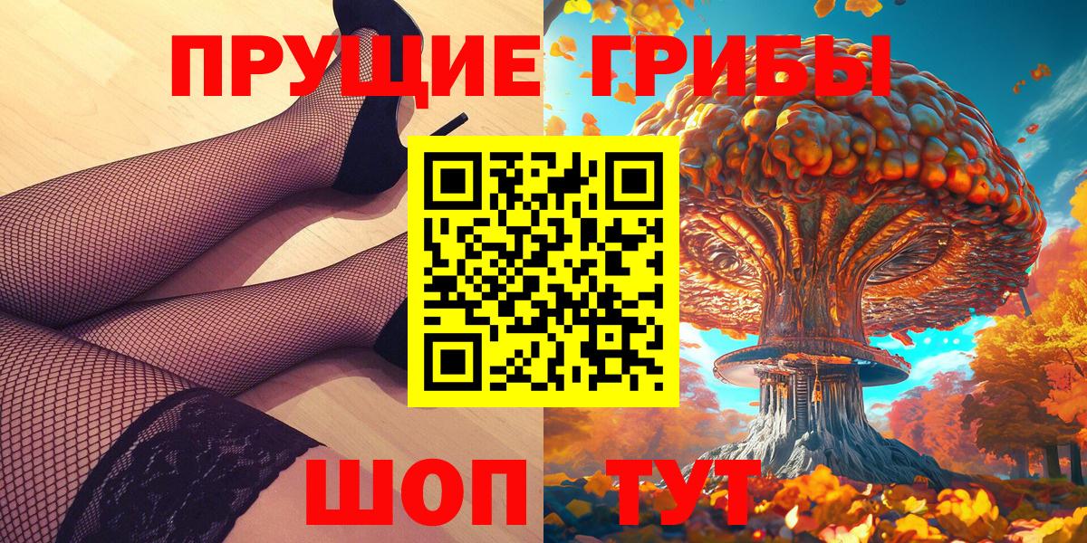 Шадринск  Галлюциногенные грибы Psilocybe  Вход с VPN 